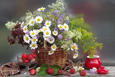 Daisies Flowers Flower Bouquet Strawberries Berries Still Life ...