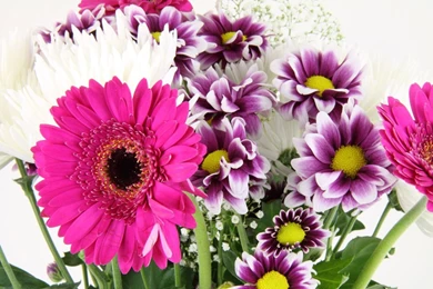 Bouquet Of Flowers Pictures   HD Wallpapers Lovely