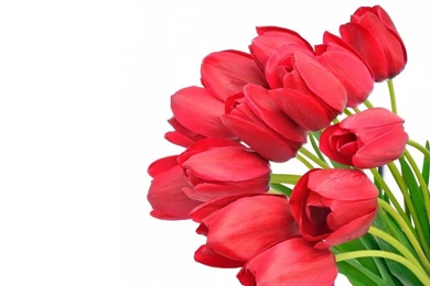 Pics Of Bouquet Of Flowers   Cliparts.co