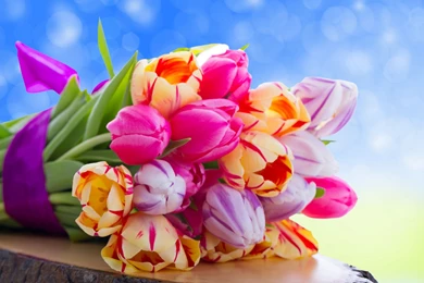 Download Wallpapers 3840x2160 Tulips, Flowers, Bouquet 4K Ultra HD ...