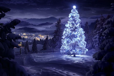 Christmas Night Wallpapers