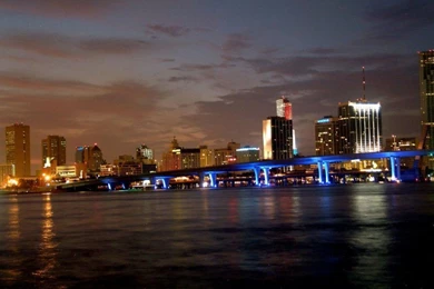 Miami Wallpapers 3   Crazy Frankenstein