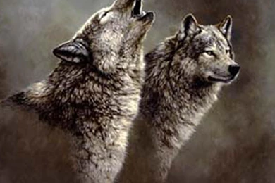 Wolf Song Wallpapers Tags Animals Fantasy Grey Wolf Nature Wolves ...