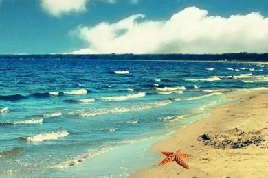 Sea, Clouds, Beach, Birds, Natural