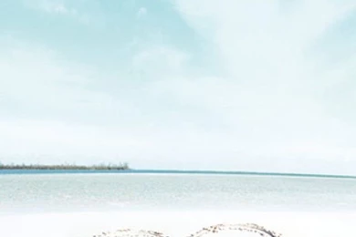 Love At Beach Hd Wallpapers   ImgMob