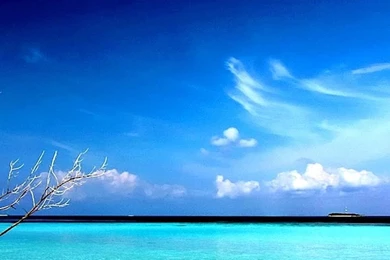 Hd beach wallpapers 1080p nature beach iphone 6 plus 1080x1920 wallpaper.jpg