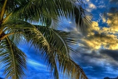 Iphone 5 wallpapers hd 2802 yqb28.jpg