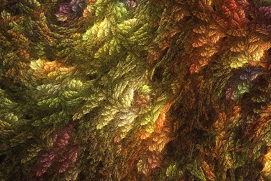 Colorful Pattern Fractal Wallpapers