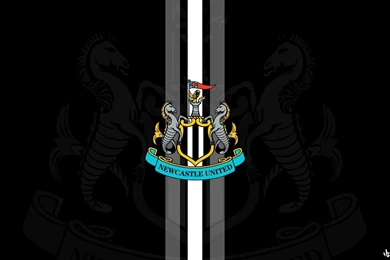 Gallery For   Football Wallpapers Newcastle United