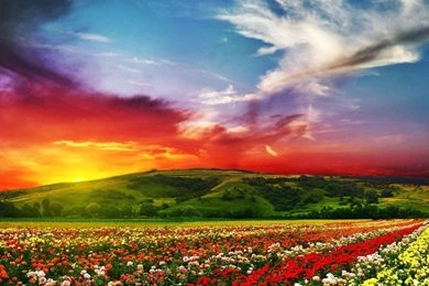 Mobilclub Wallpapers   Latest, Most Popular Wallpapers For PPC ...