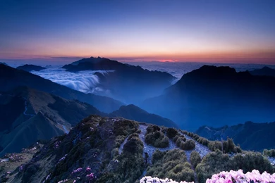 Mobilclub Wallpapers Latest, Unique Wallpapers For Smartphone ...