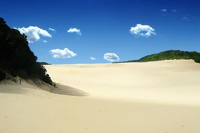 Gallery For   Mobile Videos And Wallpapers