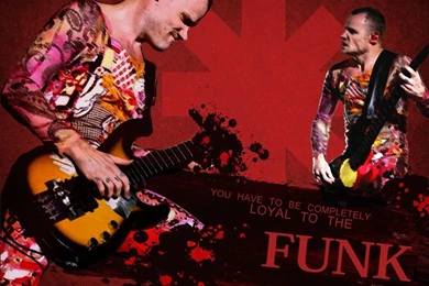 Gallery For   Rhcp Wallpapers For Phone