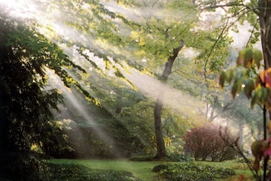 Spring   Seasonal Wallpapers   Page 3   Crazy Frankenstein