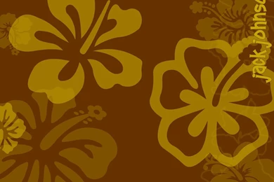 Browsing Wallpapers On DeviantArt