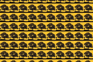 Jack Johnson In Between Dreams Wallpapers « Tiled Desktop Wallpapers