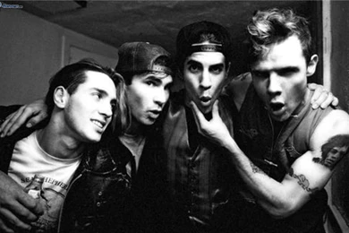 1600x1000px Red Hot Chili Peppers 363.17 KB