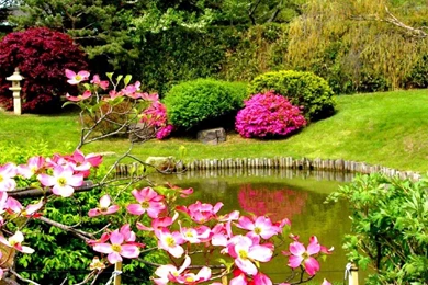 SPRINGTIME WALLPAPER   (