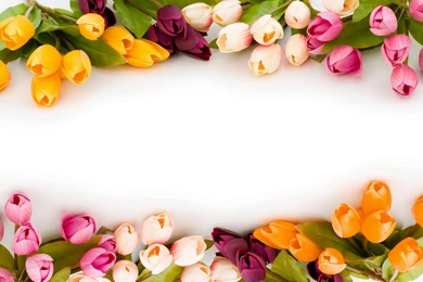 Springtime Wallpapers >> Backgrounds With Quality HD