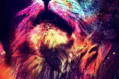 Download Abstract Lion Wallpapers To Your Cell Phone   Abstract ...