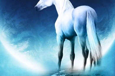 Phone Backgrounds Hd Tumblr Android Pinterest Iphone Quotes For ...