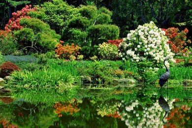 Free Backgrounds Nature Wallpapers   HD Images New