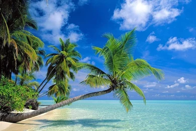 Gallery For   High Size Wallpapers