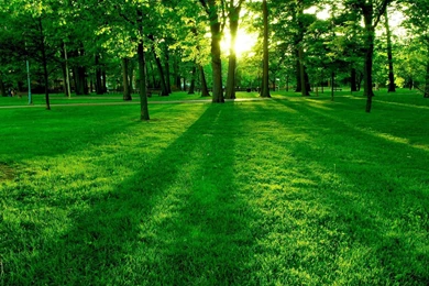 Gallery For   Beautiful High Resolution Nature Wallpapers