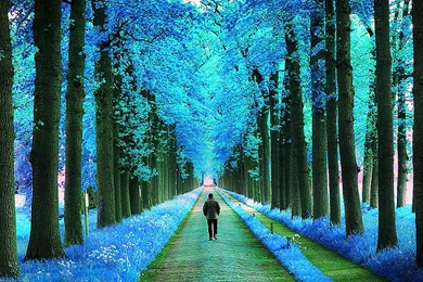 Nature Wallpapers, Hd Landscape Images, Nature Backgrounds ...