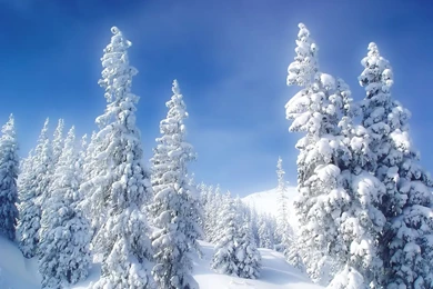 Winter Backgrounds Tumblr 2015