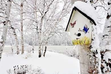 Snowy Birdhouse Winter Wallpapers For Dekstop Backgrounds   Wallpapes HD