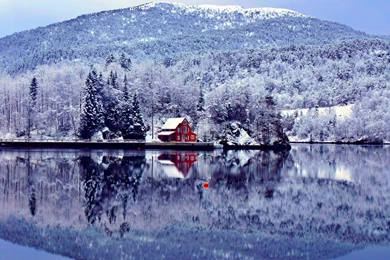 Gallery For   Christmas Winter Wonderland Backgrounds