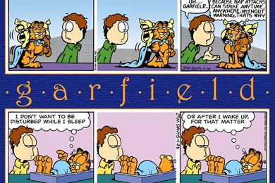 Garfield Wallpapers   Garfield Wallpapers (2026921)   Fanpop