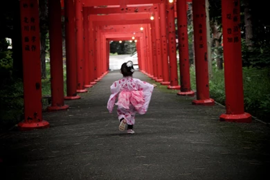 Girls, Shrine, Temple, Behind, Kimono, Yukata