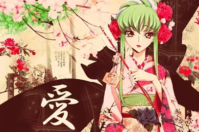 Wallpapers Anime Kimono Dragon Ball 800x600