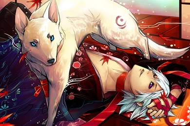 White Wolf Passing Over Boy In Kimono >> HD Wallpaper, Get It Now!