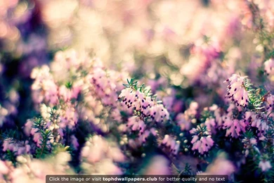 Page 744 Of Best Обои Wallpapers