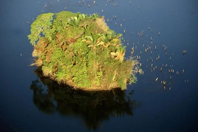 Panama, Panama Canal, 1998, Photo Of The Day, Picture, Photography ...