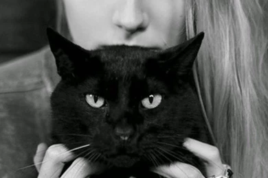 Download Black Iphone Wallpapers