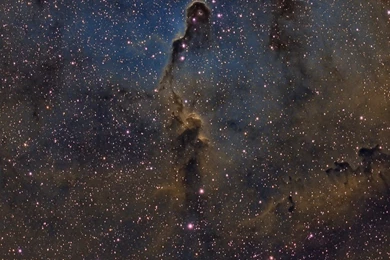 Real Space (id: 34511) – BUZZERG