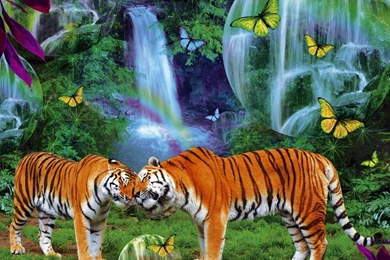 Tiger Wallpapers   Tigers Fan Art (9981542)   Fanpop