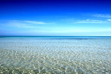 Gallery For   Ocean Beach Wallpapers