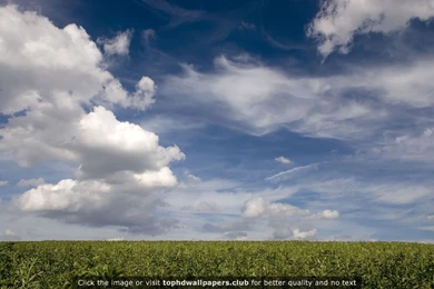 Page 8 Of Best Clouds 4K Or HD Wallpapers
