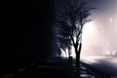 Lost In The Shadows HD Wallpapers   New HD Wallpapers