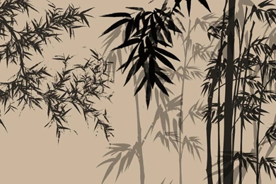 Bamboo Shadows >> HD Wallpaper, Get It Now!