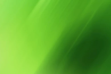 Green Shadows Wallpapers 29875