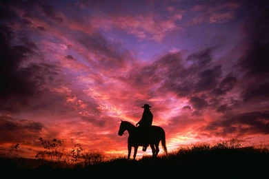 Cowboys full hd wallpaper_1.jpg