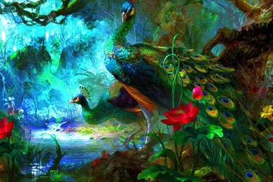 Peacock Wallpapers 16 Best Wallpapers Collection