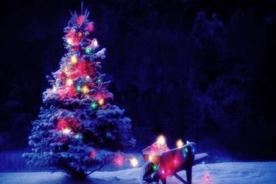 Christmas Fairy tale Wallpapers   Download