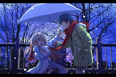 Anime, Couple, Snow, Winter, Toradora!, Aisaka Taiga, Takasu ...